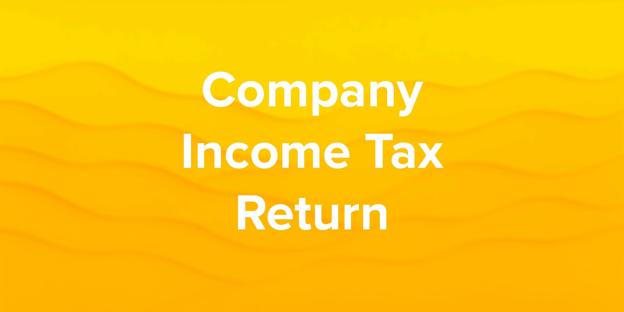 Company Income Tax Return